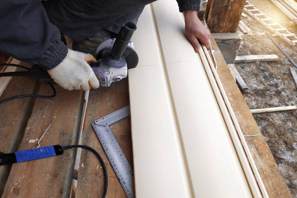 Best Vinyl Siding Installation  in Hampden Sydney, VA